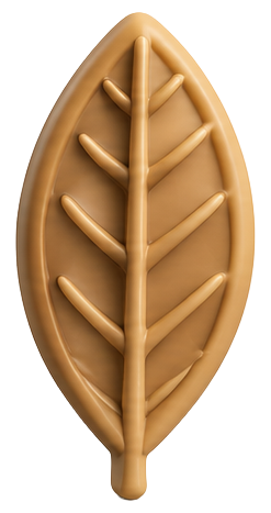 Cacao